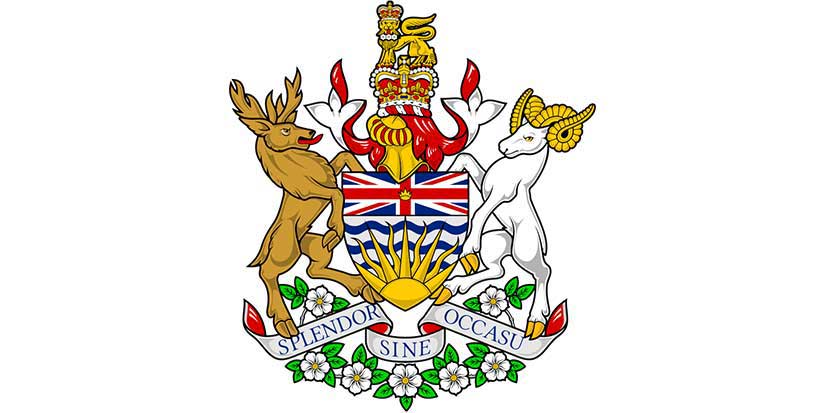 Apply now for work experience grant