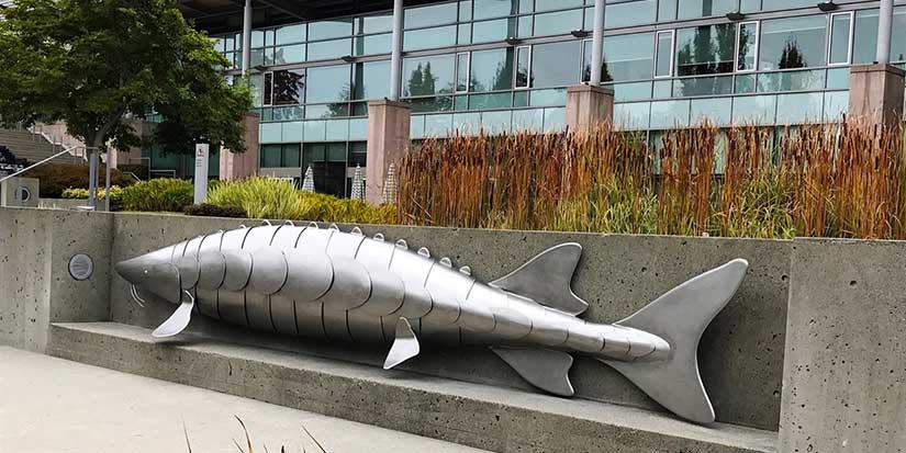 Open call for Public Art selection panelists