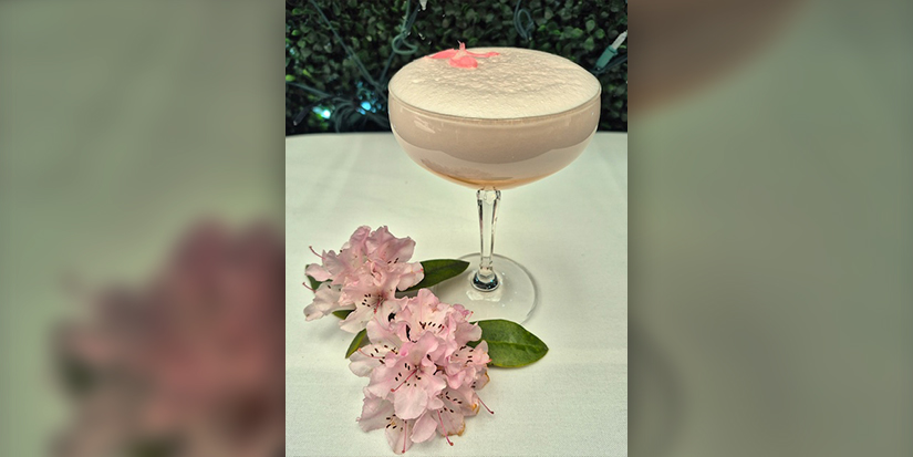 SPOTLIGHT ON GREAT FILMS, A SPRING COCKTAIL