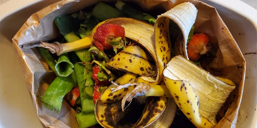 Province funding organic waste processing, curbside pickup programs