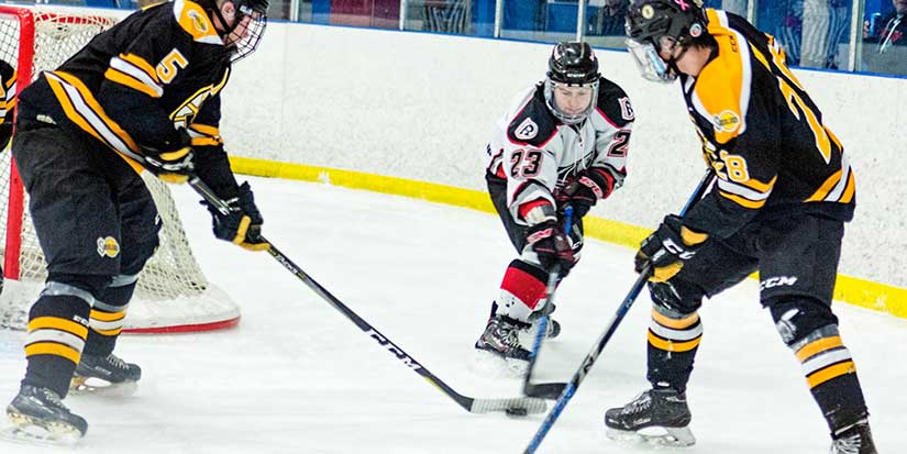 Sockeyes return to winning ways